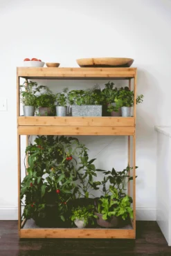 Bamboo Home LED Grow Light Garden -Gardener's Supply Sales 8598088 BambooLEDHomeGarden light gif scaled