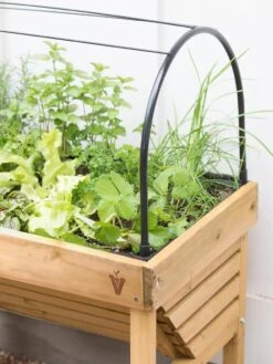 VegTrug® Mini Wallhugger Planter With Cover 8 VegTrug® Mini Wallhugger Planter With Cover -Gardener's Supply Sales 8598339 4004 tif