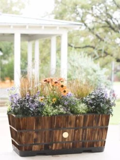 VegTrug™ Trough Planters 13 VegTrug™ Trough Planters -Gardener's Supply Sales 8598402 008880 tif