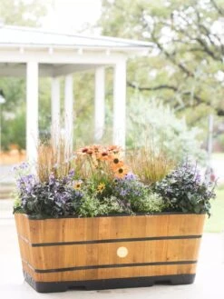 VegTrug™ Trough Planters 12 VegTrug™ Trough Planters -Gardener's Supply Sales 8598402 8880 tif