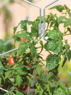 Gardener's Vertex Lifetime Tomato Cage -Gardener's Supply Sales 8598426 0011 tif