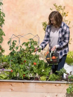 Gardener's Vertex Lifetime Tomato Cage -Gardener's Supply Sales 8598426 0026 tif