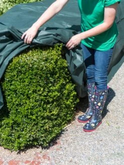 The Planket® Frost Protection Plant Cover, 10' X 20' -Gardener's Supply Sales 8599101 0929 tif
