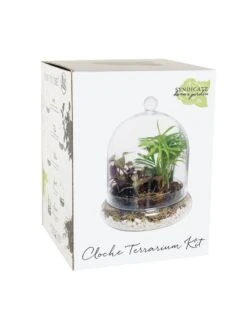 Cloche Terrarium Kit Medium -Gardener's Supply Sales 8599148 01v
