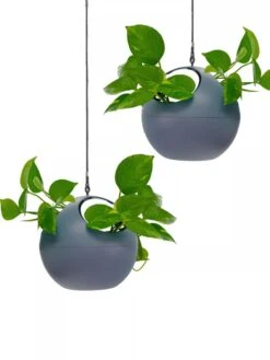 Exaco Euro Hanging Planters, Set Of 2 7 Exaco Euro Hanging Planters, Set Of 2 -Gardener's Supply Sales 8599179 04V tif
