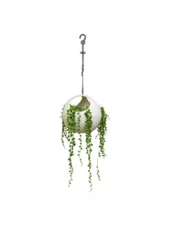 Exaco Euro Hanging Planters, Set Of 2 6 Exaco Euro Hanging Planters, Set Of 2 -Gardener's Supply Sales 8599179 06V tif