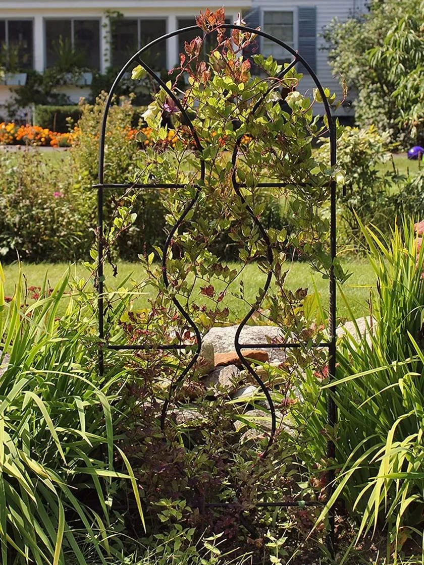 Achla Designs Orangery Trellis 1 Achla Designs Orangery Trellis