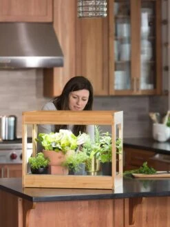 Bamboo Mini LED Grow Light Garden 13 Bamboo Mini LED Grow Light Garden -Gardener's Supply Sales 8599624 12532 tif