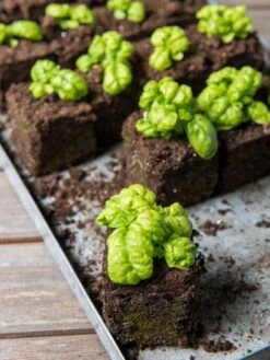 Soil Blocker, 4 Cell -Gardener's Supply Sales 8599790 1057 tif