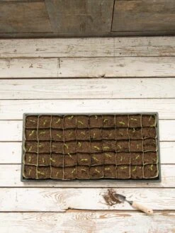 Paper Pots, 50 Cell -Gardener's Supply Sales 8599830 18489 tif