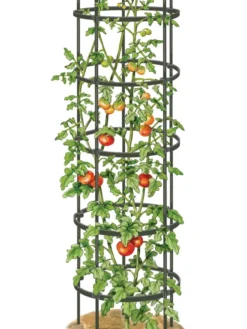 Titan Tall Tomato Cages, Set Of 3 -Gardener's Supply Sales 8599860 0002 art tif