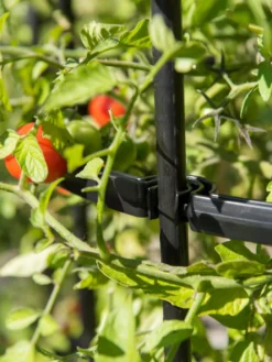 Titan Tomato Cages, Set Of 3 13 Titan Tomato Cages, Set Of 3 -Gardener's Supply Sales 8599861 0079 tif