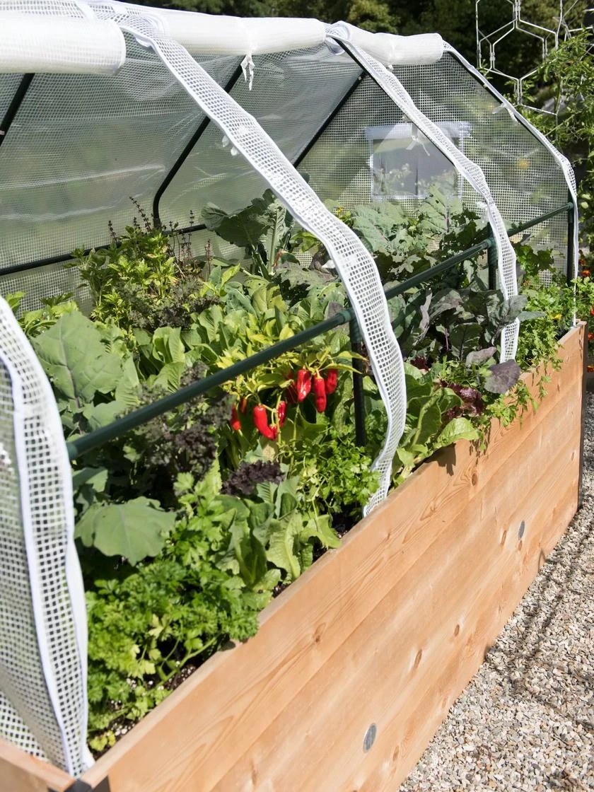 Elevated Raised Bed, 4' X 8' 2 Elevated Raised Bed, 4' X 8' - Image 2