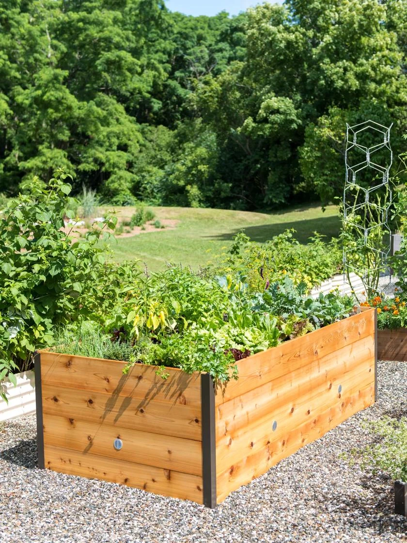 Elevated Raised Bed, 4' X 8' 1 Elevated Raised Bed, 4' X 8'