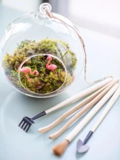 Terrarium Tools, Set Of 4 -Gardener's Supply Sales 8599884 01V tif