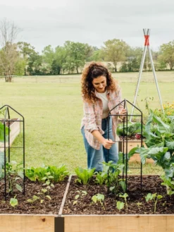 Zenith Folding Garden Supports, Set Of 2 -Gardener's Supply Sales 8600073 324 tif