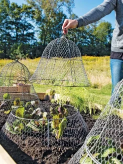 Chicken Wire Cloche With Extension 17 Chicken Wire Cloche With Extension -Gardener's Supply Sales 8600116 0604 3 4
