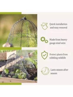 Chicken Wire Cloche With Extension 15 Chicken Wire Cloche With Extension -Gardener's Supply Sales 8600116 3
