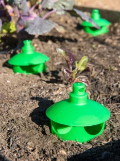 Slug And Snail Traps, Set Of 3 -Gardener's Supply Sales 8600120 1788