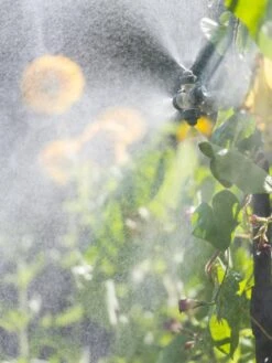 Landscape 4-Way Cooling Mist Kit, 50' -Gardener's Supply Sales 8600154 0695 tif