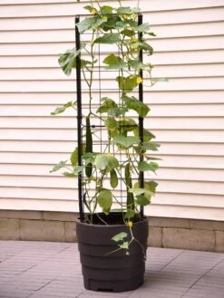 Gardener’s Victory Self-Watering Planter Garden With Vine Trellis -Gardener's Supply Sales 8600177 9876 tif 1