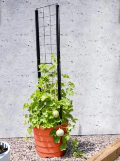 Gardener’s Victory Self-Watering Planter Garden With Vine Trellis -Gardener's Supply Sales 8600178 05487 tif