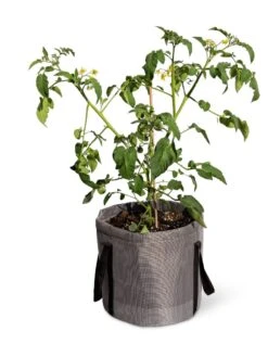 Reinforced Colorful Grow Bags -Gardener's Supply Sales 8600229 0944 tif