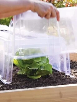 Gardener's Supply Sales -Gardener's Supply Sales 8600266 0072 tif