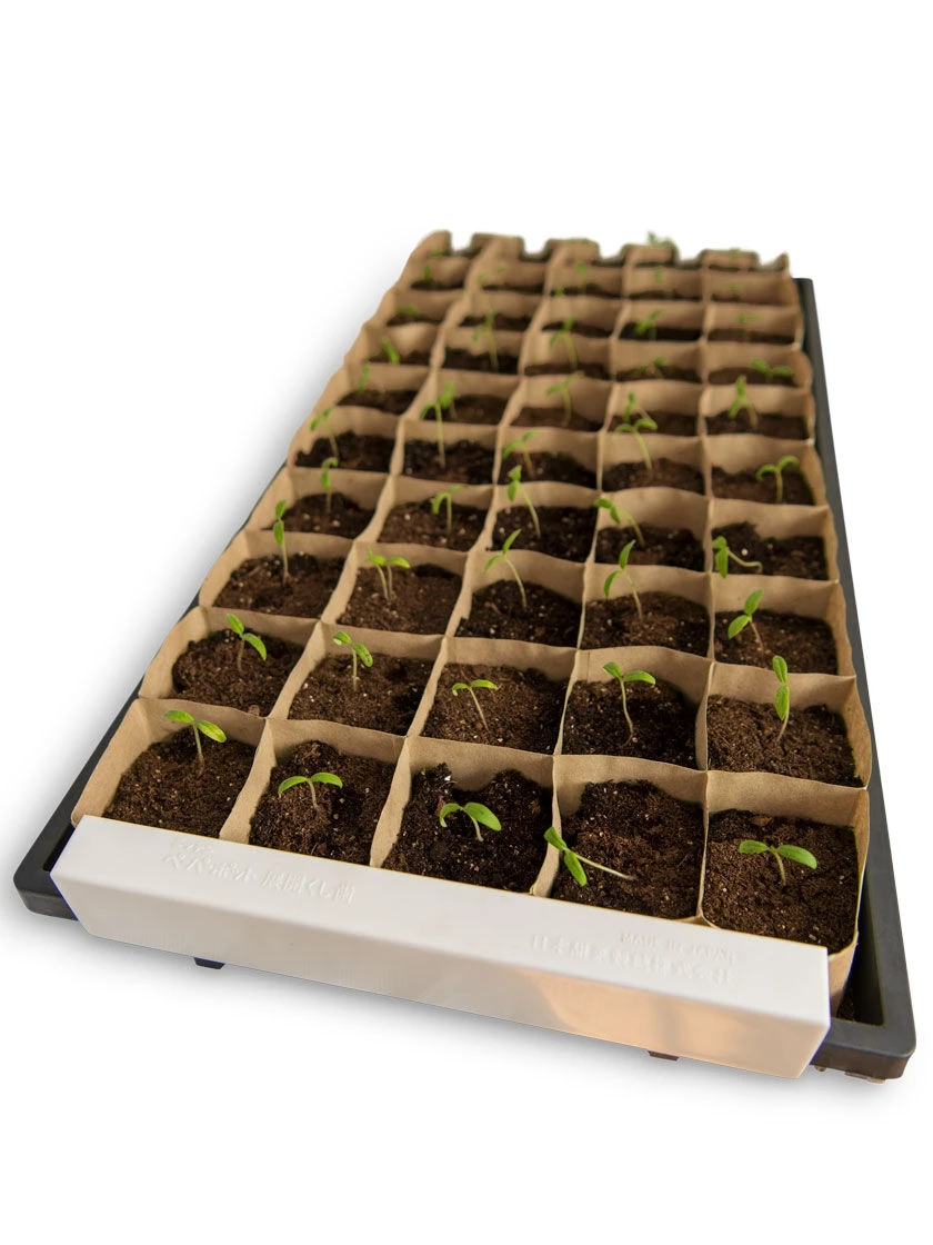 Paper Pot Opening Clips, Set Of 2 2 Paper Pot Opening Clips, Set Of 2 - Image 2