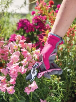 Gardener's Floral Pruning Bypass Shears -Gardener's Supply Sales 8600299 19545 tif