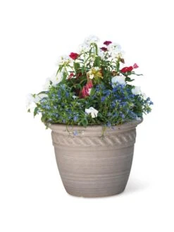 Cortina Self-Watering Planters 12 Cortina Self-Watering Planters -Gardener's Supply Sales 8600315 19839 tif