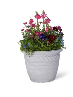 Cortina Self-Watering Planters 11 Cortina Self-Watering Planters -Gardener's Supply Sales 8600316 19838 tif