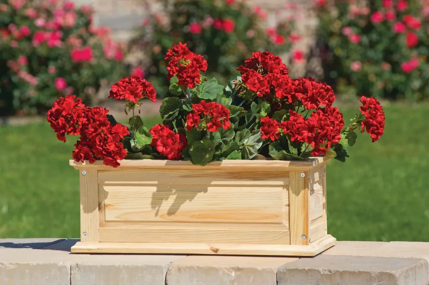 Savannah Window Boxes 4 Savannah Window Boxes - Image 4