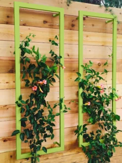 Ina Modern Wall Trellis Sr. -Gardener's Supply Sales 8600510 01V tif