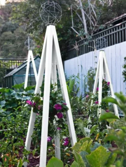 Akoris Garden Tuteur Sr. 11 Akoris Garden Tuteur Sr. -Gardener's Supply Sales 8600517 03V tif