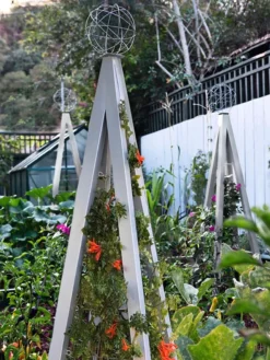 Akoris Garden Tuteur Jr. 12 Akoris Garden Tuteur Jr. -Gardener's Supply Sales 8600517 07V tif