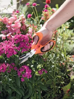 Gardener's Multi Purpose Scissors 6 Gardener's Multi Purpose Scissors -Gardener's Supply Sales 8608655 19551 tif