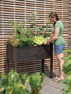 Eco-Stain Rolling Patio Garden