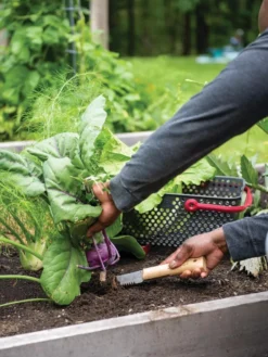 Gardener's Lifetime Hori Hori Knife 7 Gardener's Lifetime Hori Hori Knife -Gardener's Supply Sales 8608888 0422 tif