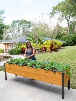 Self-Watering Eco-Stained Elevated Planter Box, 2' X 8' -Gardener's Supply Sales 8608965 6069 tif