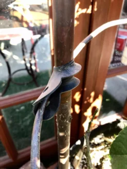 Garden Cane Connects, Set Of 6 6 Garden Cane Connects, Set Of 6 -Gardener's Supply Sales 8609019 03V tif