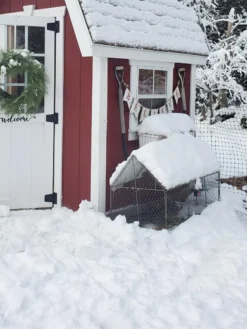 Chicken Wire Crop Coop 22 Chicken Wire Crop Coop -Gardener's Supply Sales 8609080 03IN tif