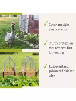Chicken Wire Crop Coop 15 Chicken Wire Crop Coop -Gardener's Supply Sales 8609080 2