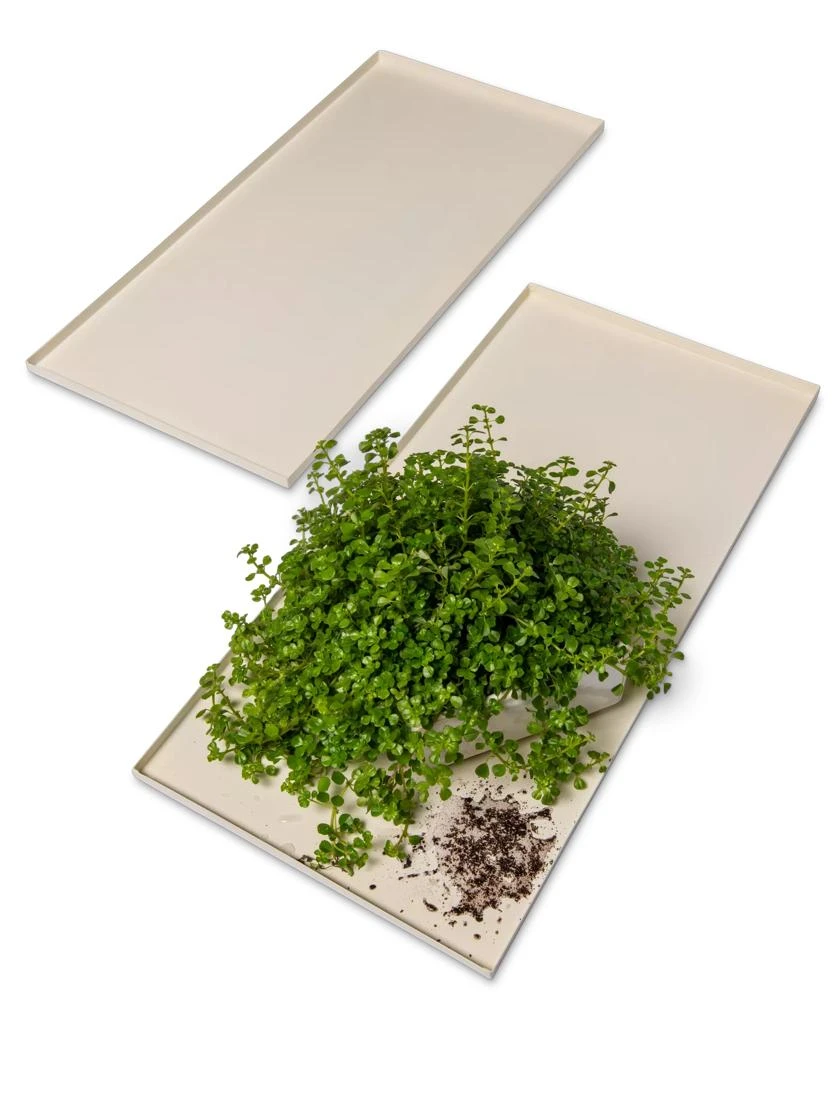 Oslo Grow Light Garden Trays, Set Of 2 3 Oslo Grow Light Garden Trays, Set Of 2 - Image 3