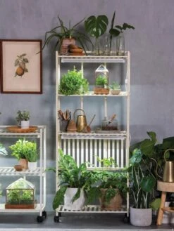 Oslo 4-Tier LED Grow Light Garden -Gardener's Supply Sales 8609188 4118 tif