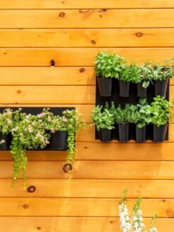 8 Pot Metal Wall Planter 7 8 Pot Metal Wall Planter -Gardener's Supply Sales 8609195 6250 tif