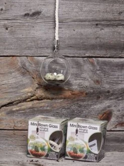 Mini Blown-Glass Hanging Terrarium, Set Of 2 -Gardener's Supply Sales 8609218 01v