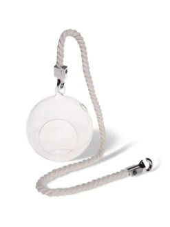 Mini Blown-Glass Hanging Terrarium, Set Of 2 -Gardener's Supply Sales 8609218 4734