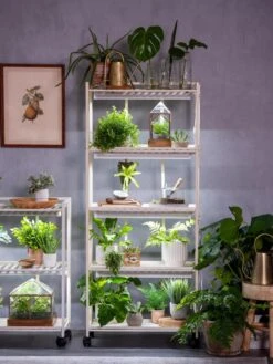 Oslo 4-Tier LED Grow Light Garden -Gardener's Supply Sales 8609220 4116 tif