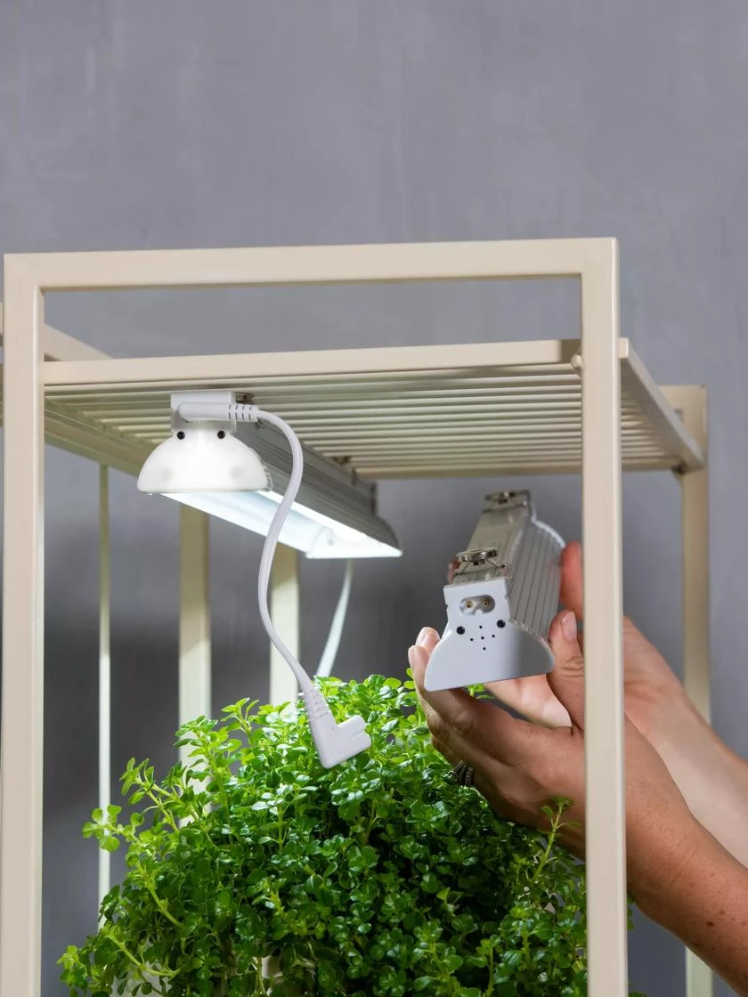 High Output LED Fixtures, 2' With Magnetic Clips, Set Of 2 2 High Output LED Fixtures, 2' With Magnetic Clips, Set Of 2 - Image 2